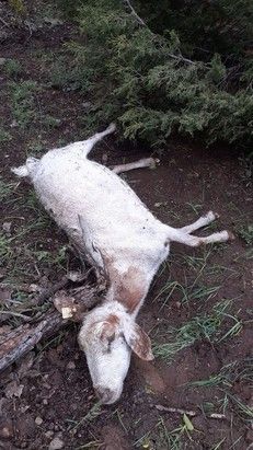 Haber Detay Görseli