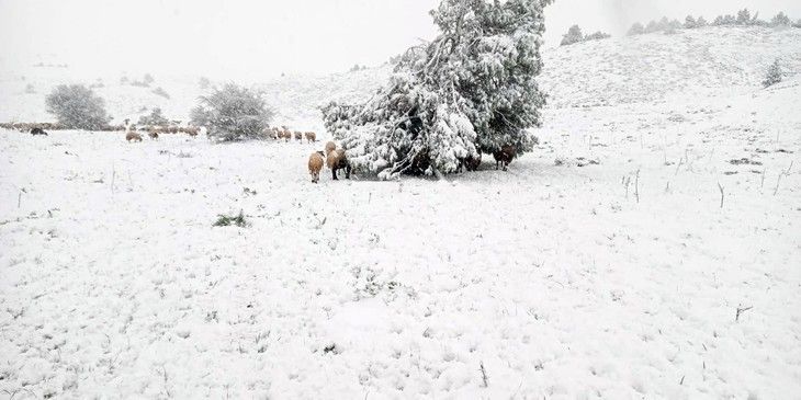 Haber Detay Görseli