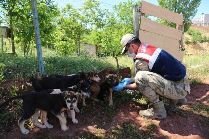 Haber Detay Görseli