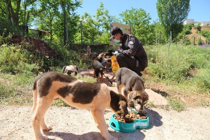 Haber Detay Görseli