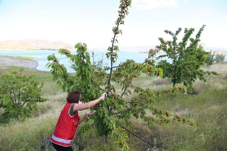 Haber Detay Görseli
