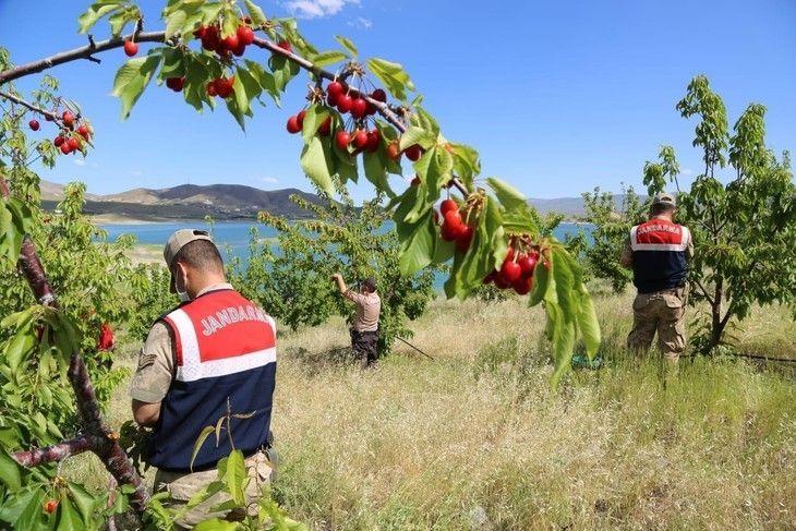 Haber Detay Görseli