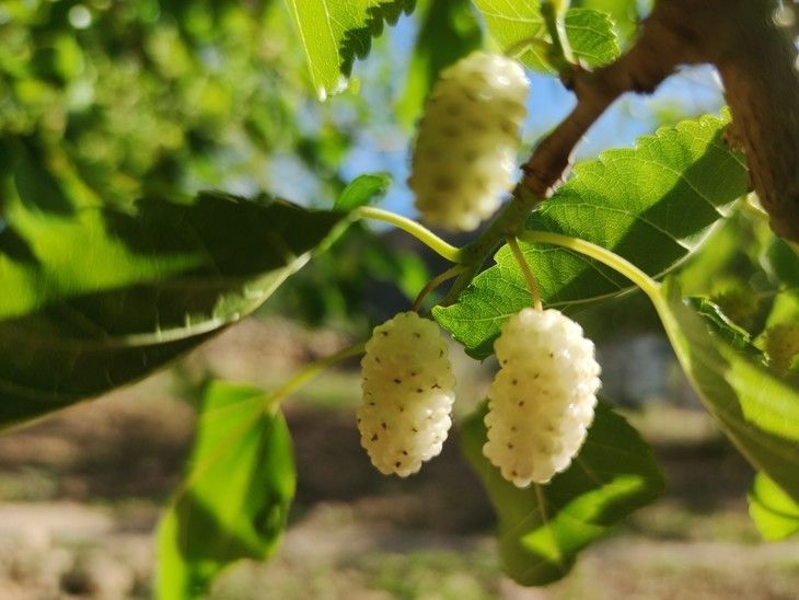 Haber Detay Görseli