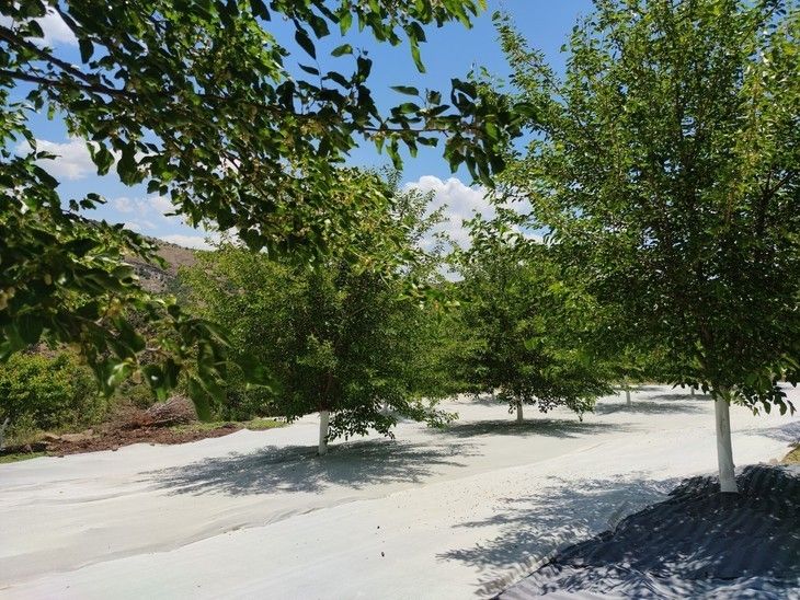 Haber Detay Görseli