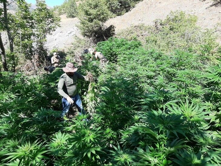 Haber Detay Görseli