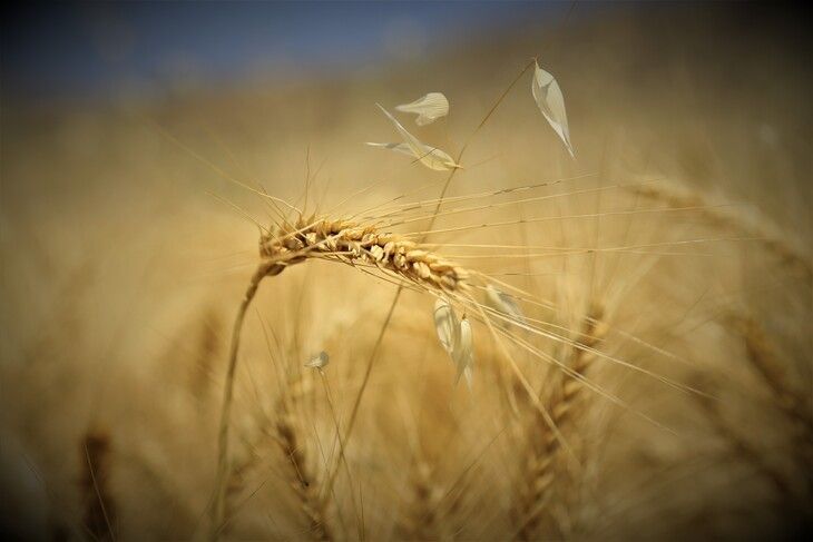 Haber Detay Görseli