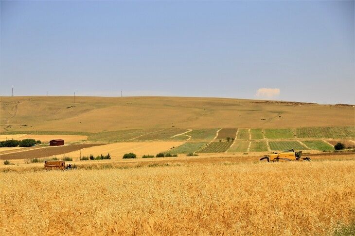 Haber Detay Görseli