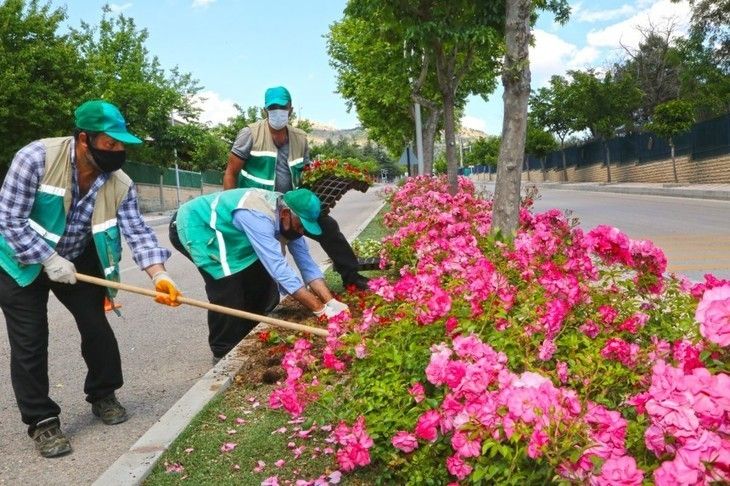 Haber Detay Görseli
