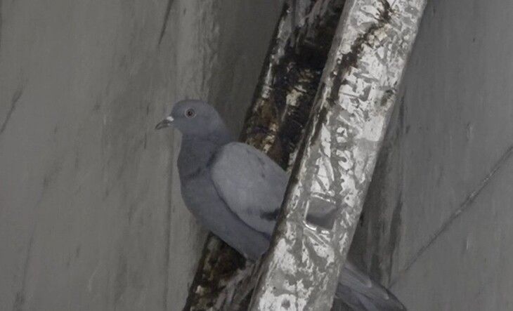 Haber Detay Görseli