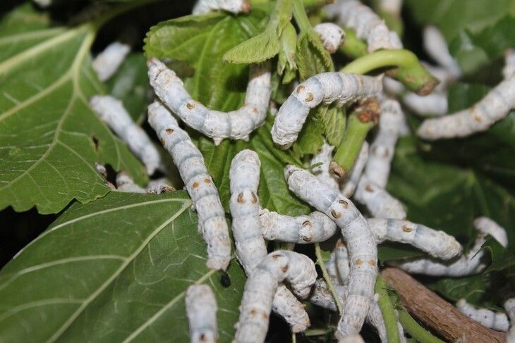 Haber Detay Görseli