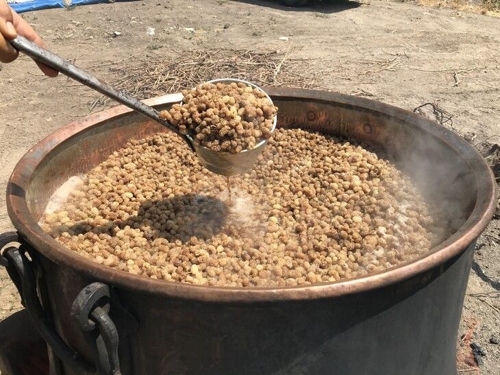 Haber Detay Görseli