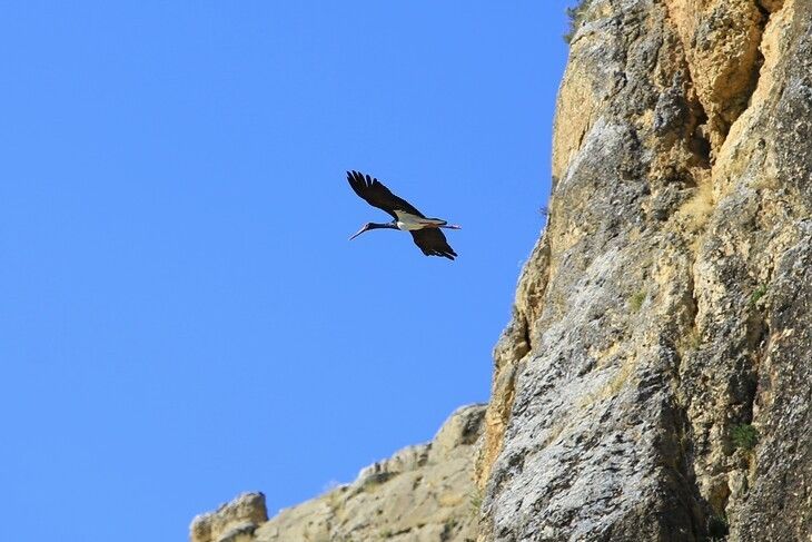 Haber Detay Görseli