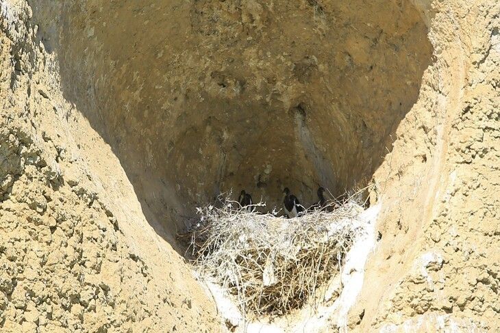 Haber Detay Görseli