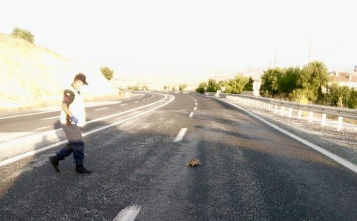 Haber Detay Görseli