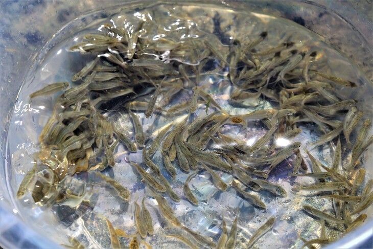 Haber Detay Görseli