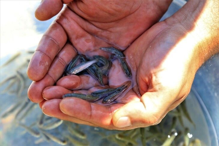 Haber Detay Görseli