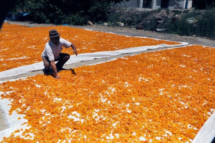 Haber Detay Görseli