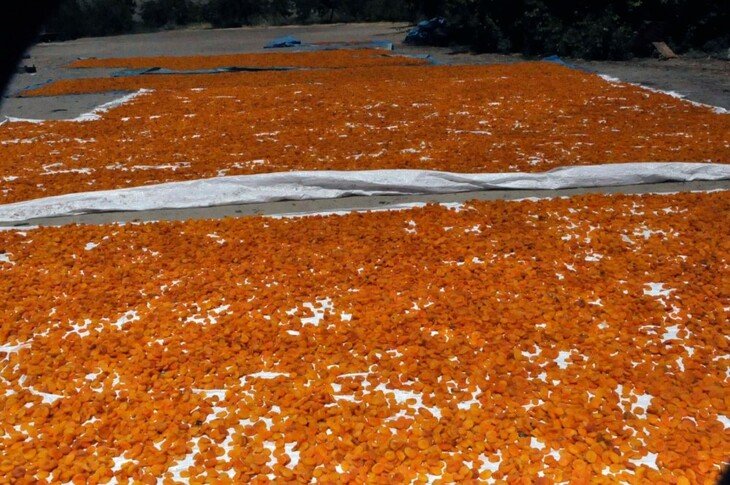 Haber Detay Görseli