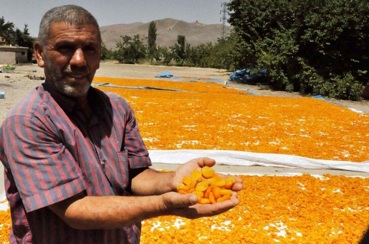 Haber Detay Görseli