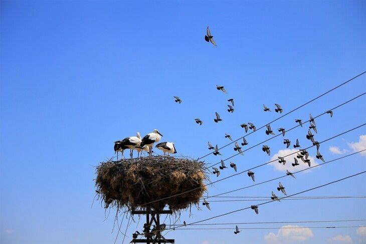 Haber Detay Görseli