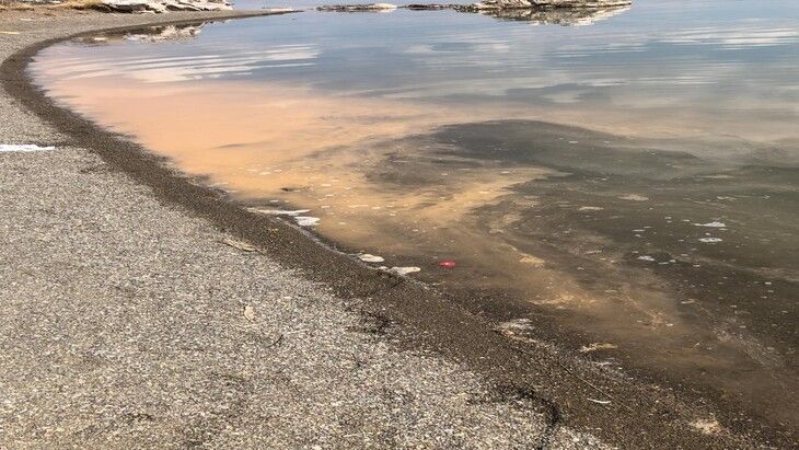 Haber Detay Görseli