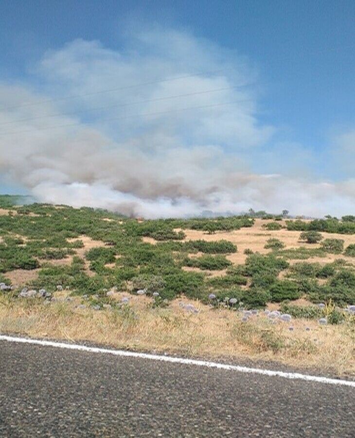 Haber Detay Görseli