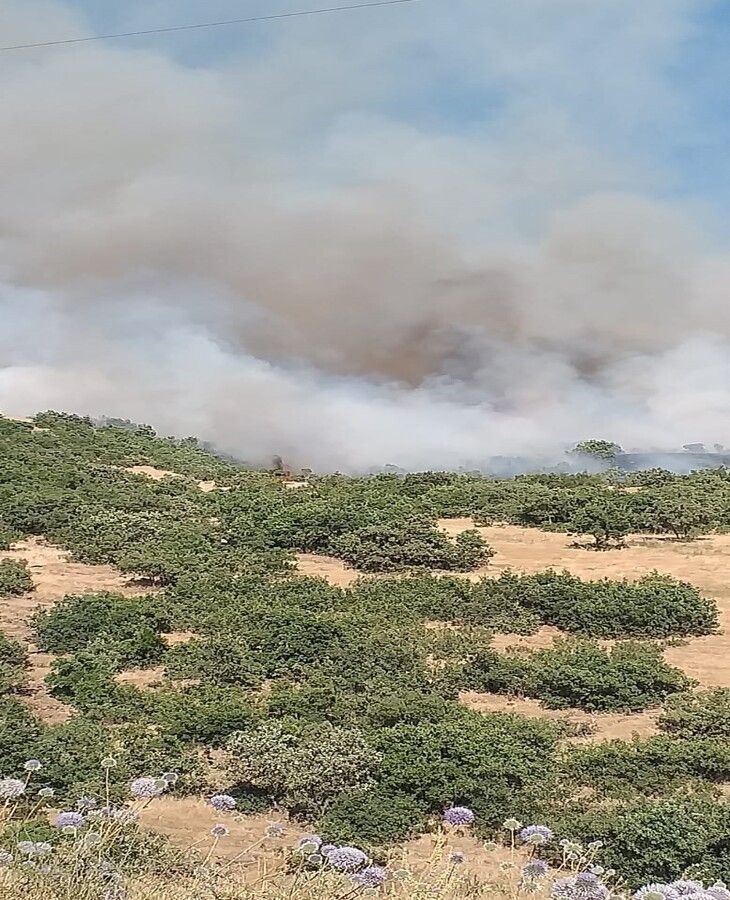 Haber Detay Görseli