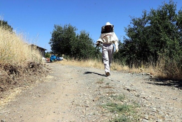 Haber Detay Görseli