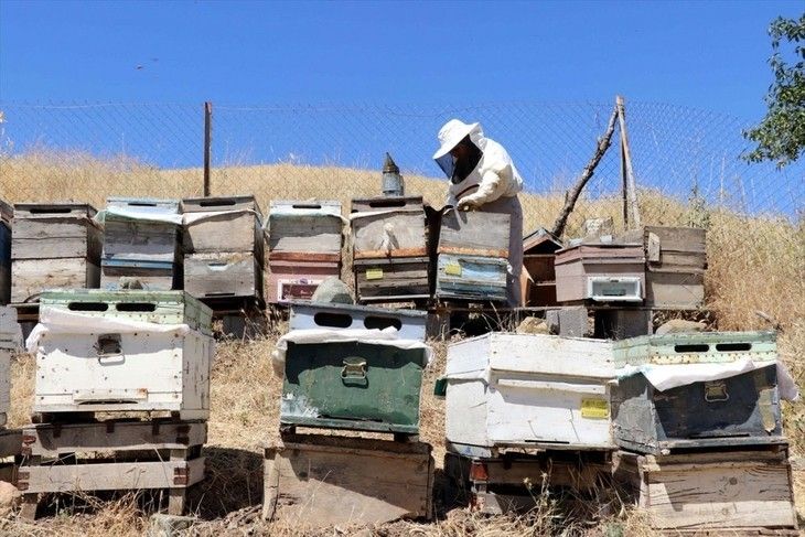 Haber Detay Görseli