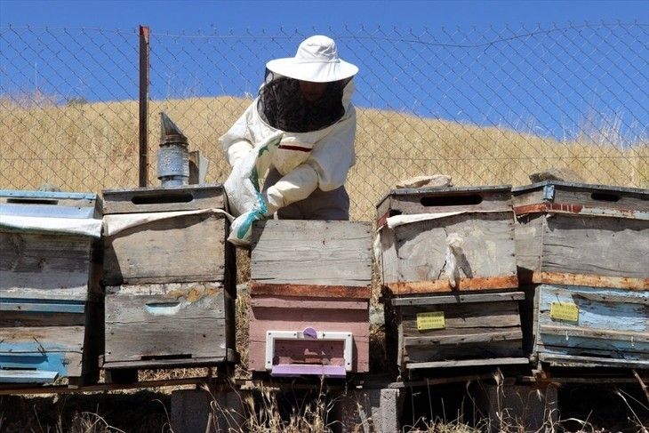 Haber Detay Görseli