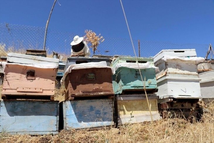 Haber Detay Görseli