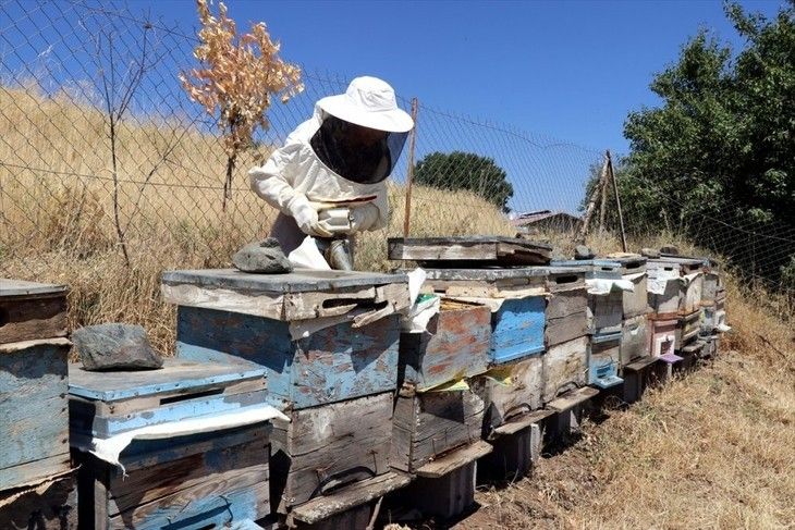 Haber Detay Görseli