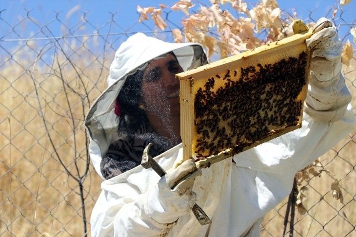 Haber Detay Görseli