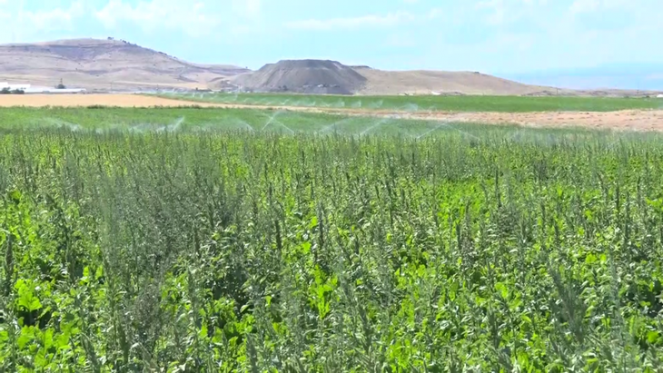 Haber Detay Görseli