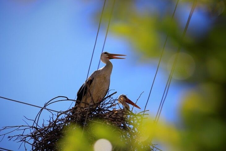 Haber Detay Görseli