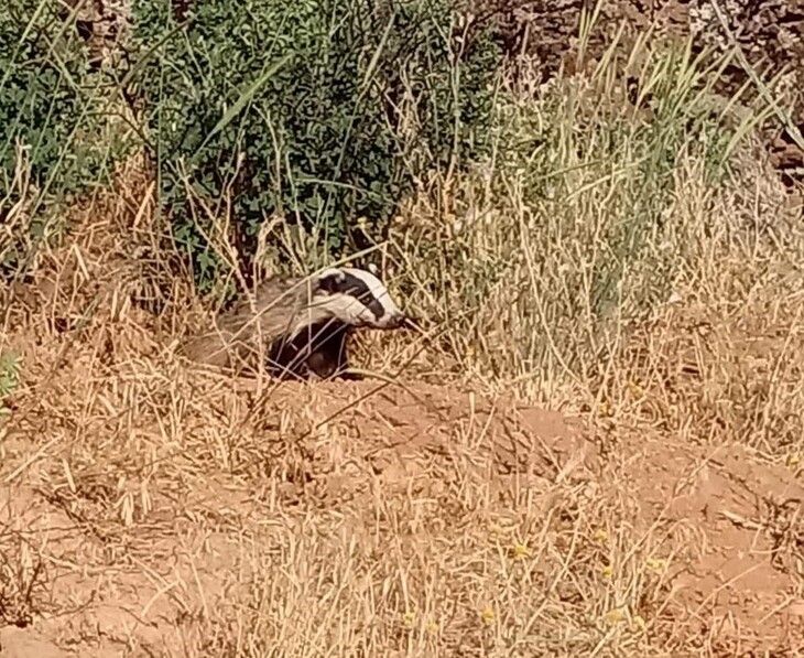 Haber Detay Görseli