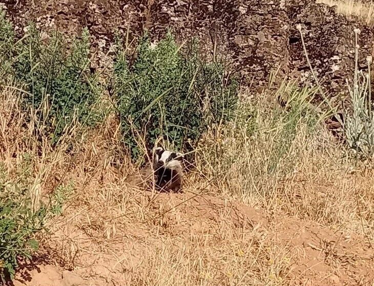 Haber Detay Görseli