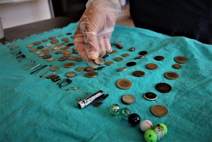 Haber Detay Görseli