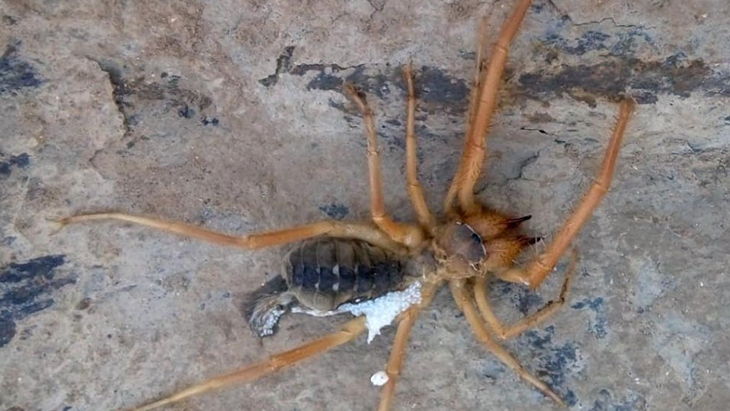 Haber Detay Görseli