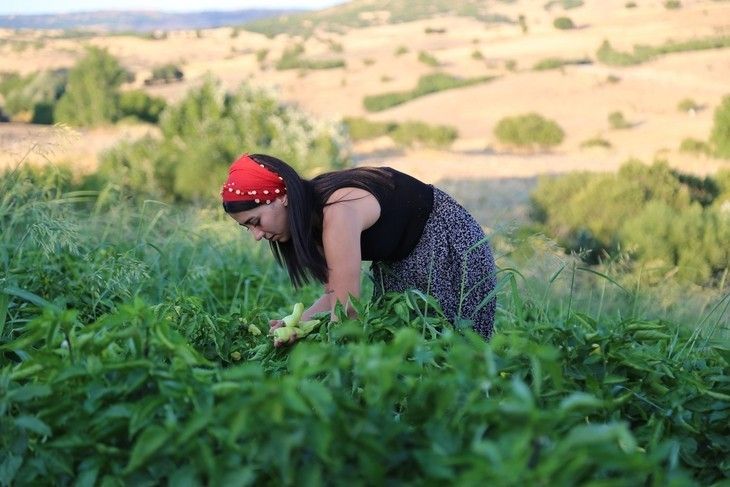 Haber Detay Görseli