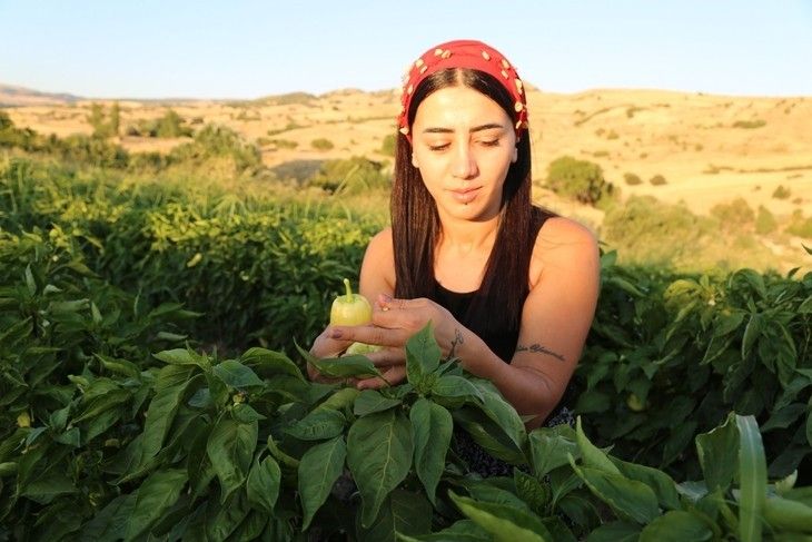 Haber Detay Görseli