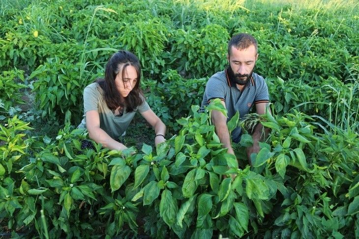 Haber Detay Görseli