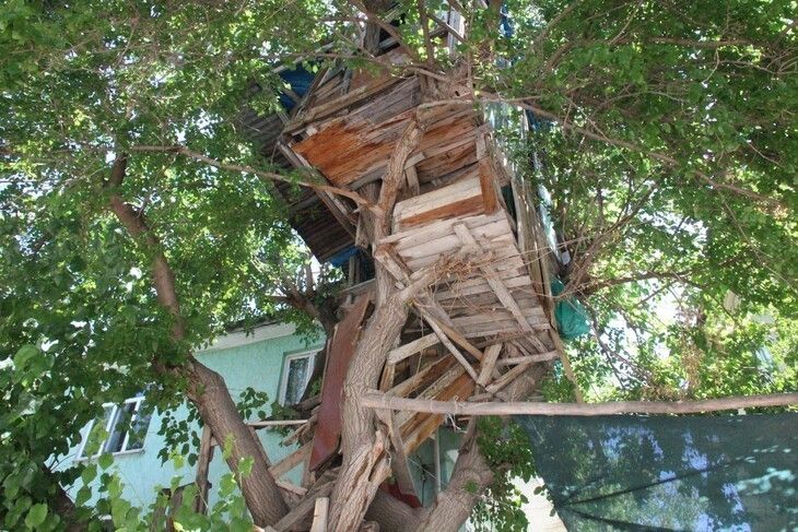 Haber Detay Görseli