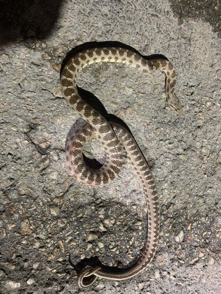 Haber Detay Görseli