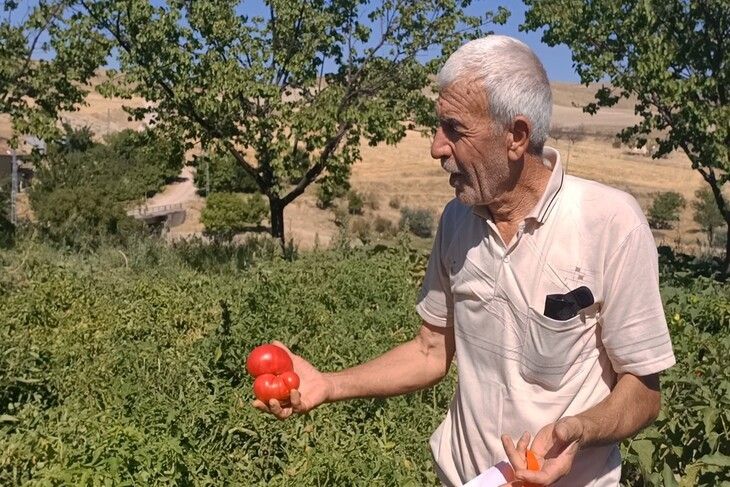 Haber Detay Görseli