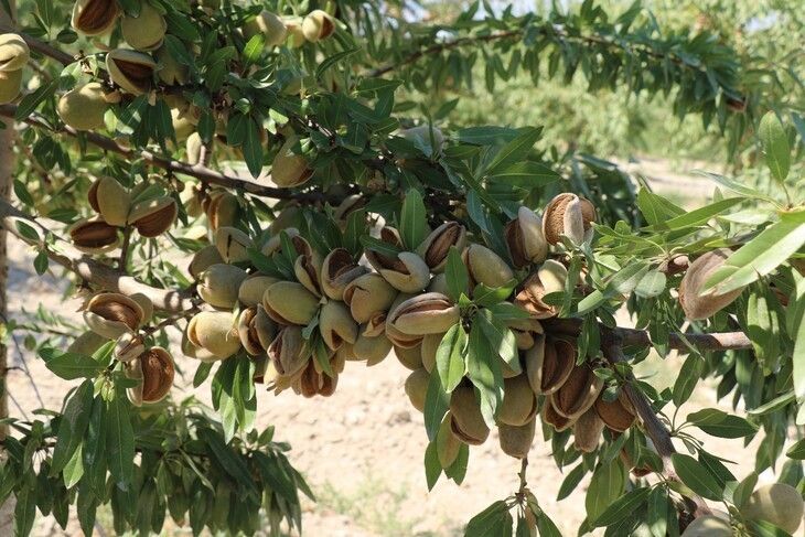 Haber Detay Görseli