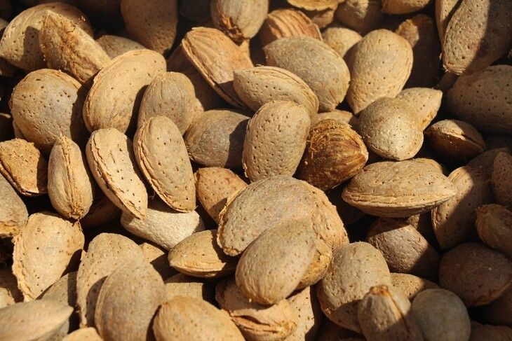 Haber Detay Görseli