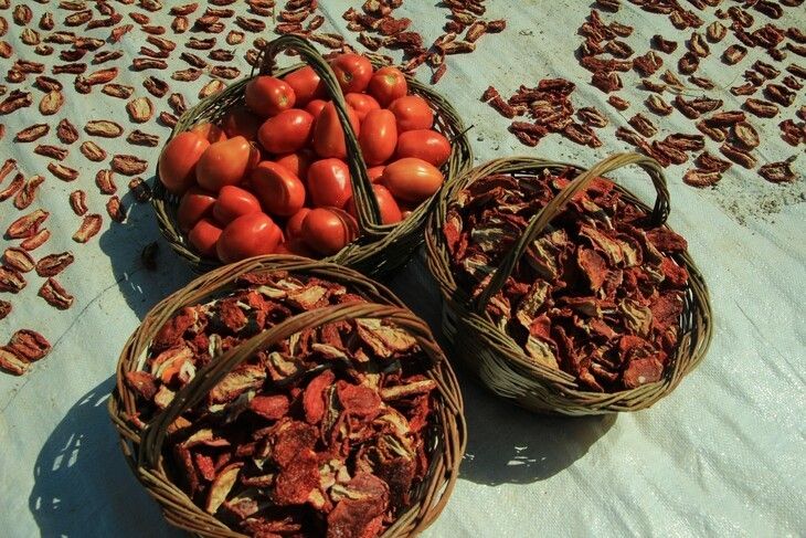 Haber Detay Görseli