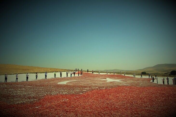 Haber Detay Görseli