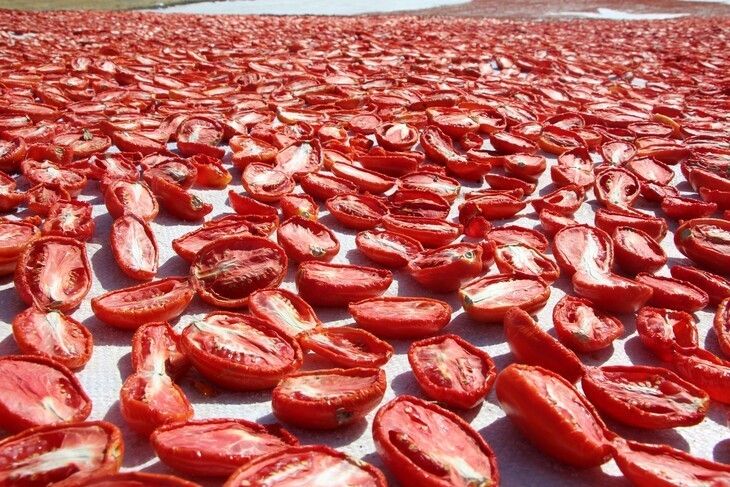 Haber Detay Görseli